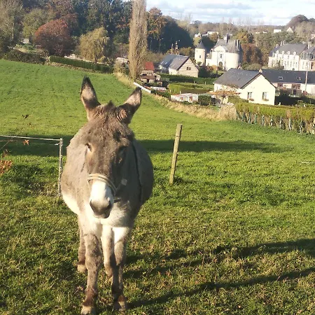 Chez Papito Et Mamito, Familiale A La Ferme