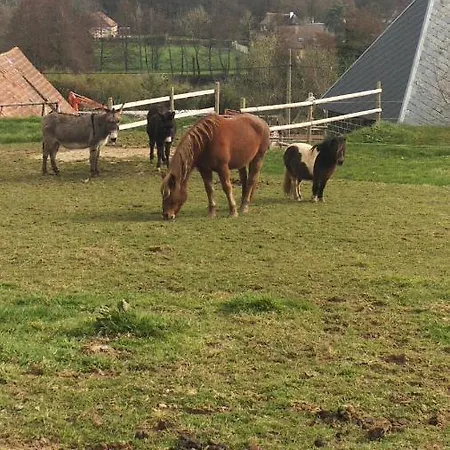 Chez Papito Et Mamito, Familiale A La Ferme